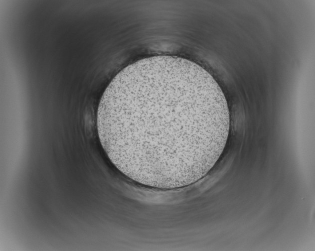 X0000111840040200908201226