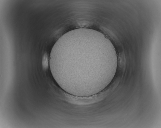 X0000111840042200908201226