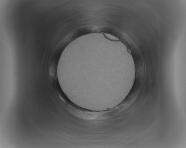 X0000111840044200908201226