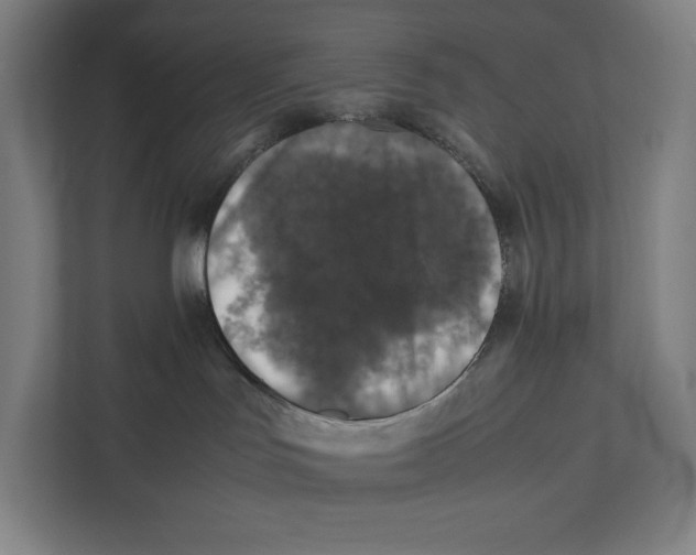 X0000111840047200908201226