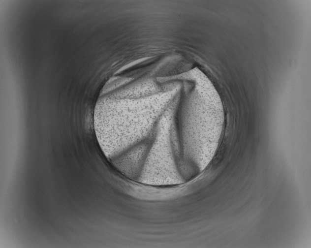 X0000111840048200908201226