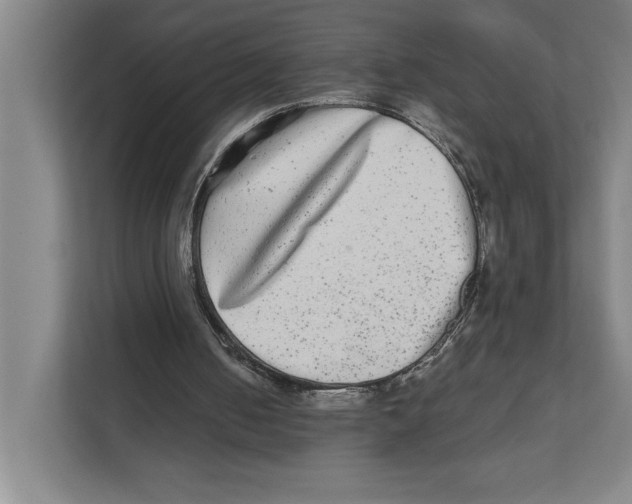 X0000111840050200908201225