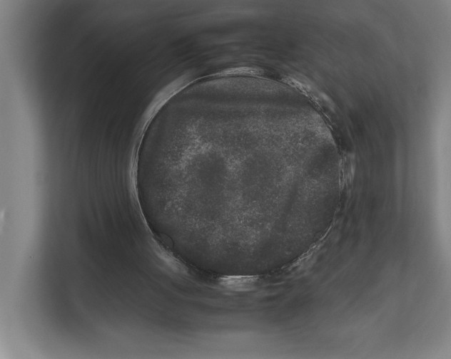 X0000111840051200908201225