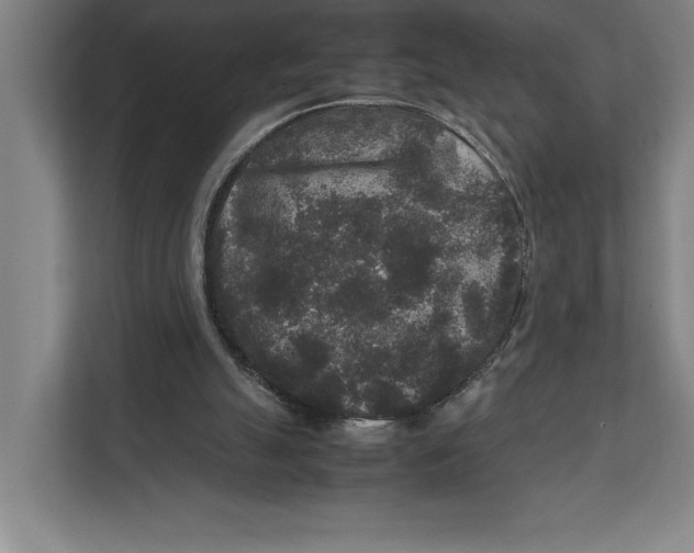 X0000111840055200908201225