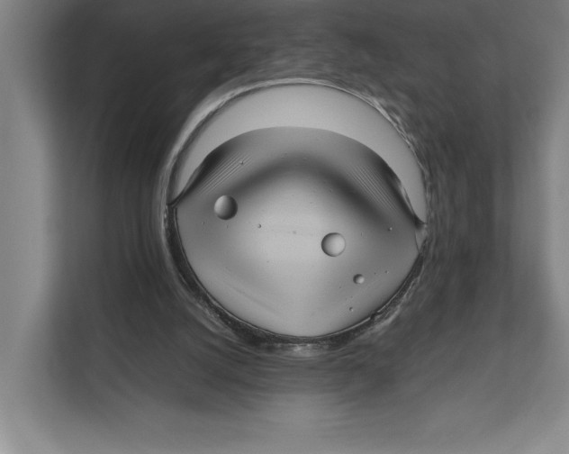 X0000111840056200908201225