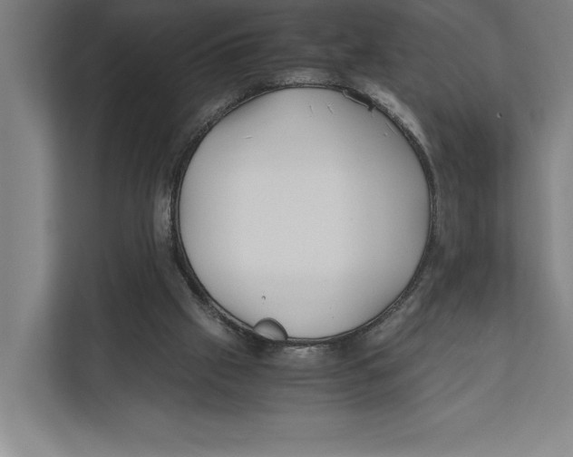 X0000111840057200908201225