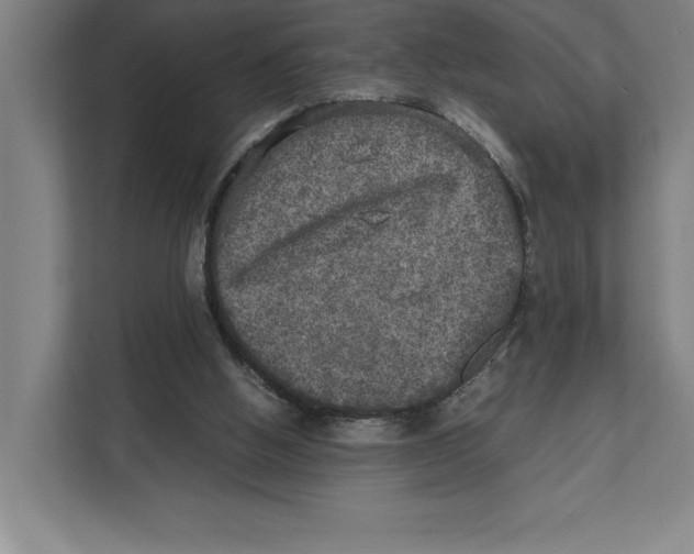 X0000111840058200908201225