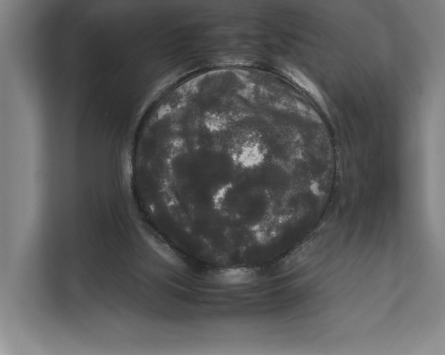 X0000111840059200908201225