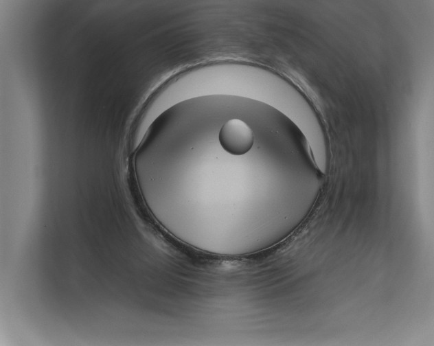 X0000111840060200908201225