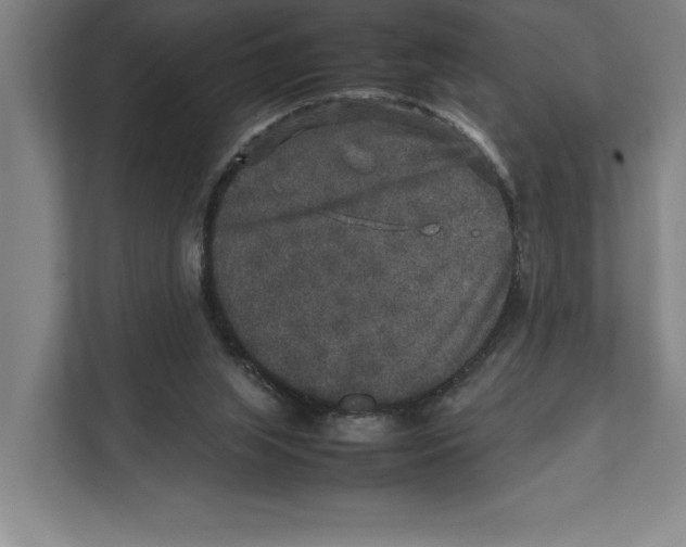 X0000111840063200908201225