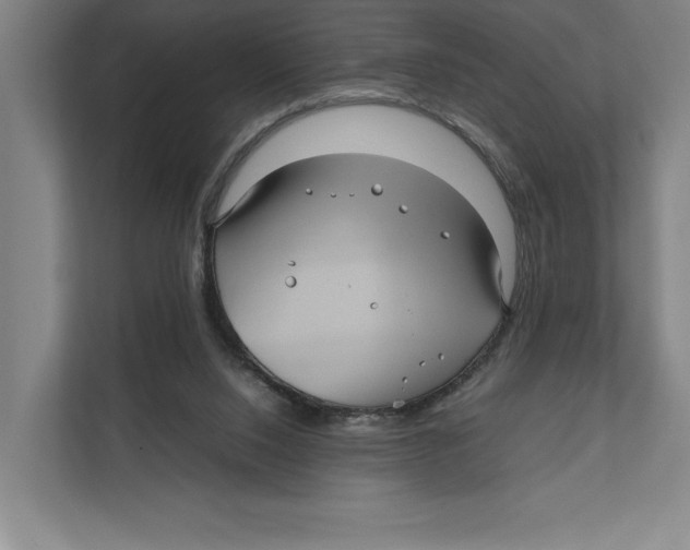 X0000111840064200908201225