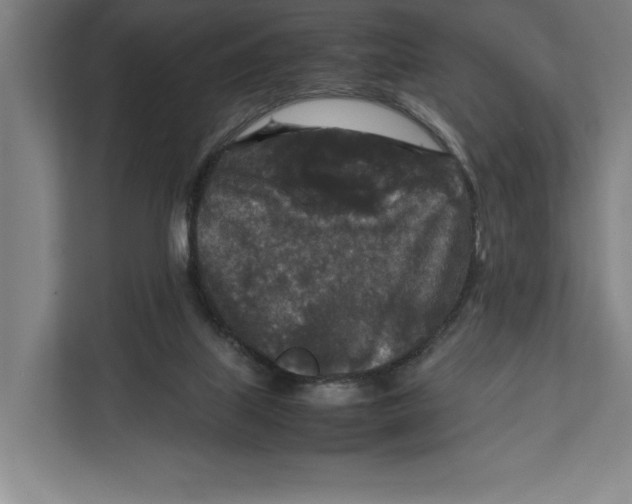 X0000111840067200908201225