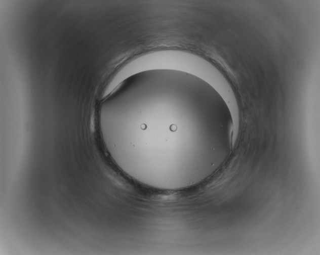 X0000111840068200908201225