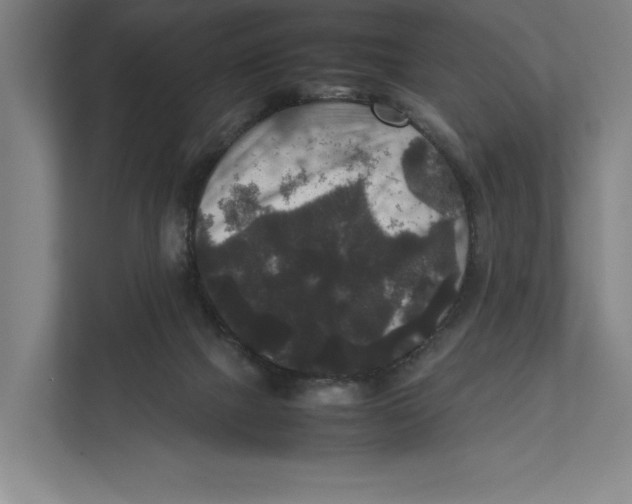 X0000111840073200908201225