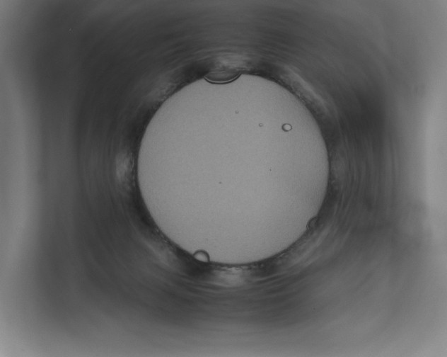 X0000111840079200908201225