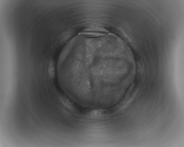 X0000111840080200908201225