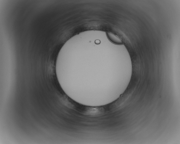 X0000111840083200908201225