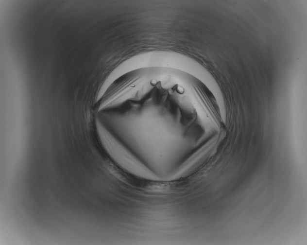 X0000111840084200908201225