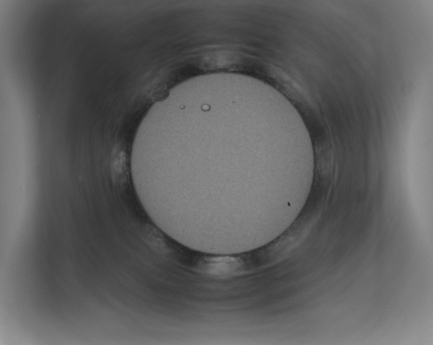 X0000111840087200908201225