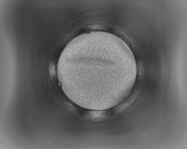 X0000111840089200908201225