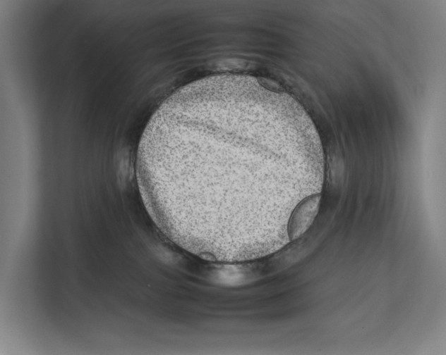 X0000111840091200908201225