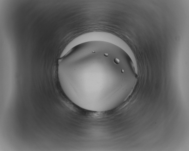 X0000111840092200908201225