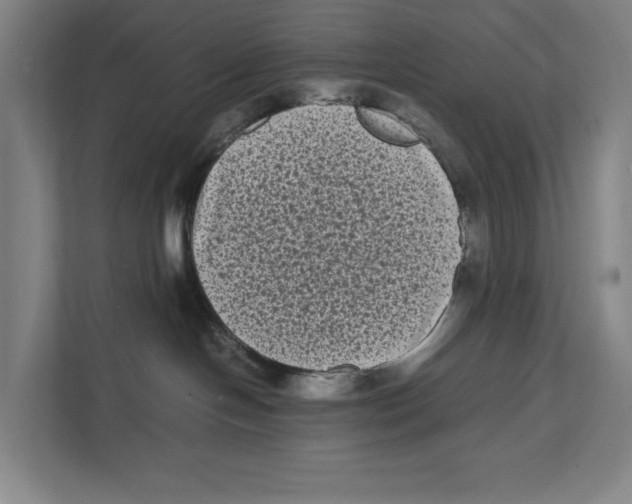 X0000111840094200908201226