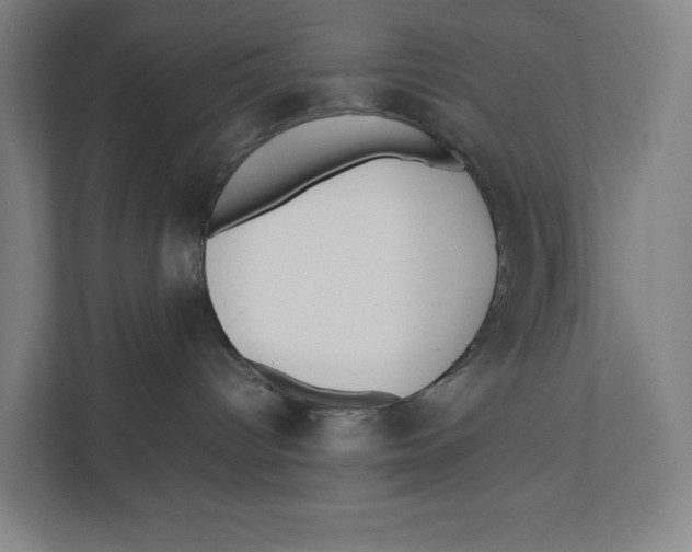 X0000111840096200908201226