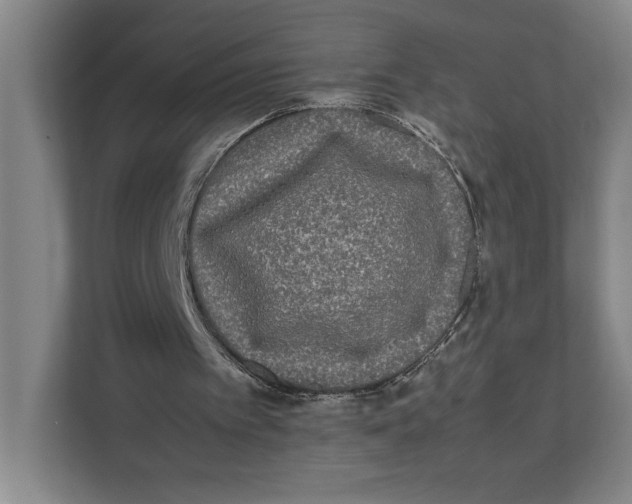 X0000111840097200908201225