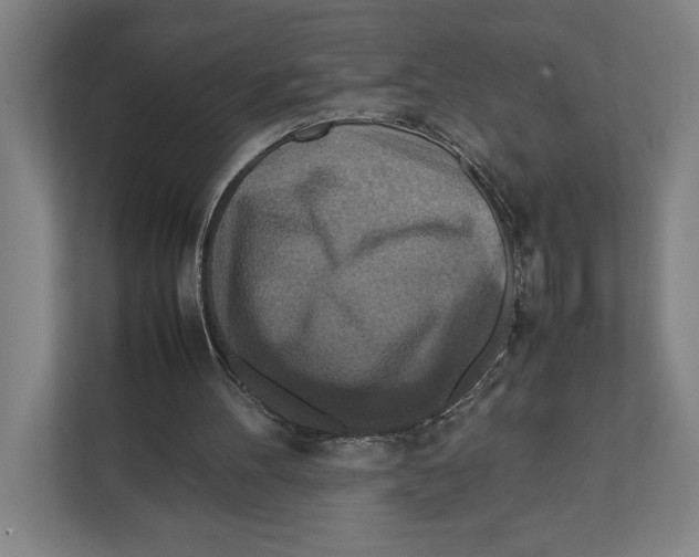 X0000111840100200908201225