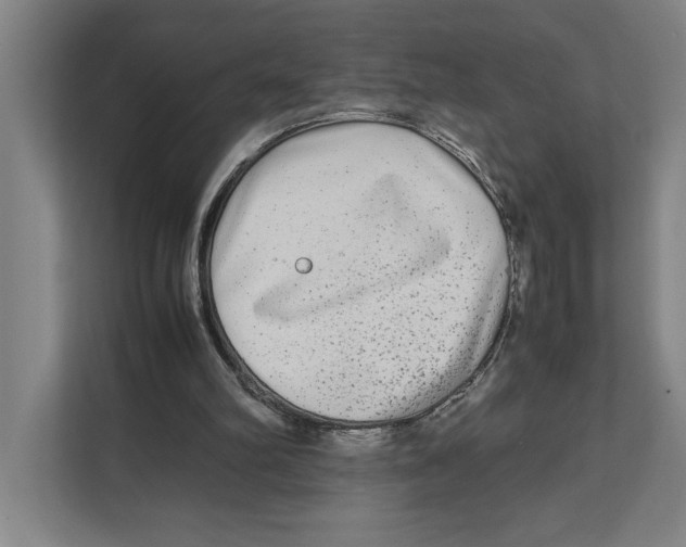 X0000111840102200908201225