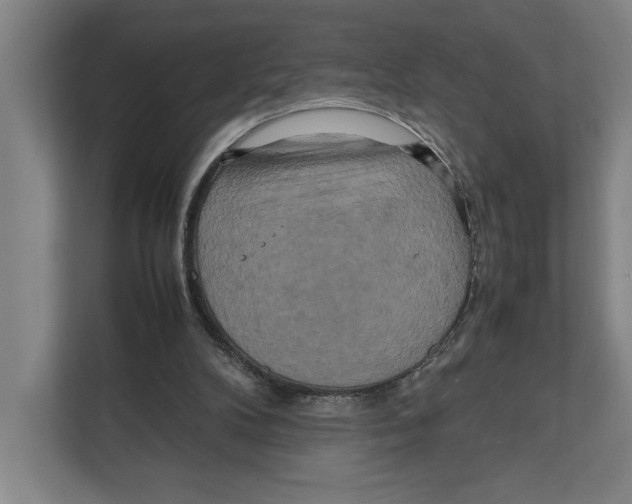 X0000111840104200908201225