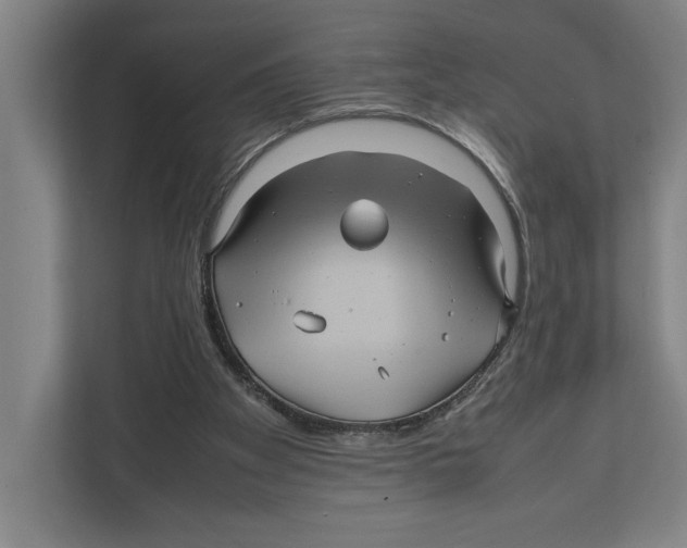 X0000111840105200908201225