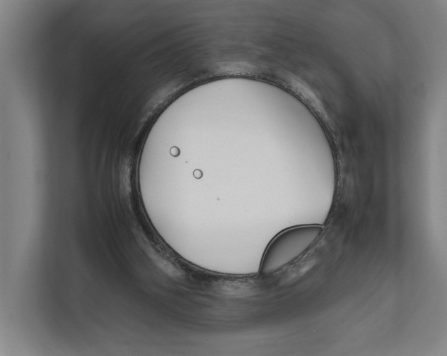 X0000111840106200908201225