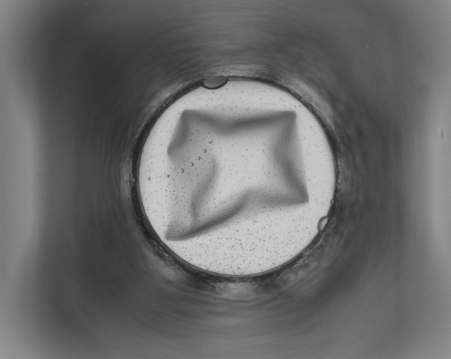 X0000111840107200908201225