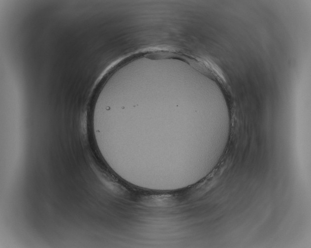 X0000111840108200908201225