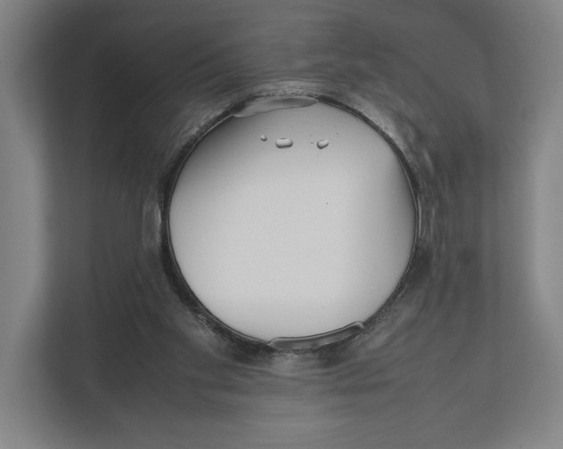 X0000111840109200908201225