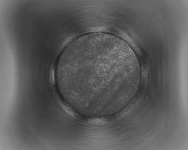 X0000111840110200908201225