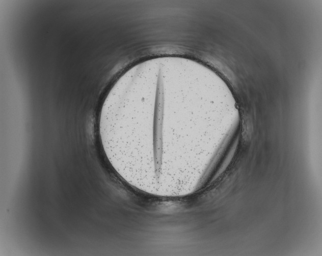 X0000111840111200908201225