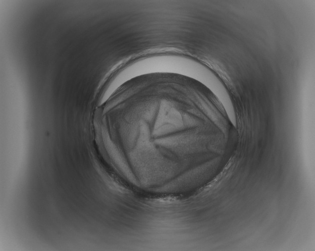 X0000111840112200908201225