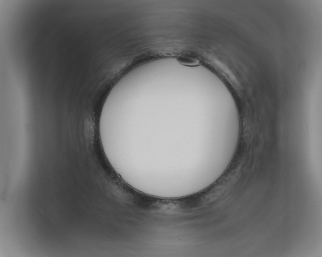 X0000111840113200908201225