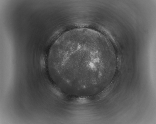 X0000111840114200908201225