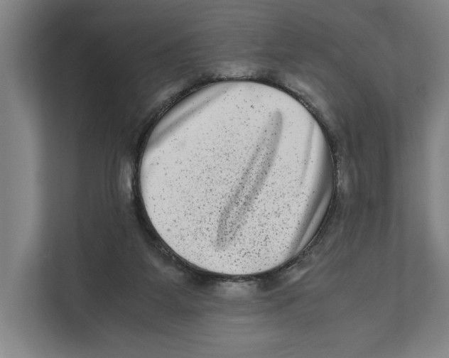 X0000111840115200908201225