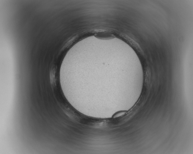 X0000111840116200908201225