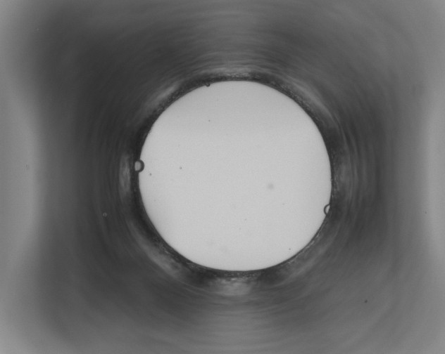 X0000111840120200908201225