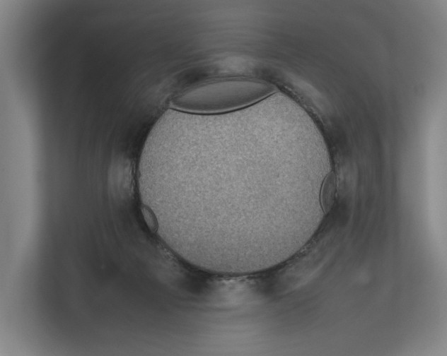 X0000111840121200908201225