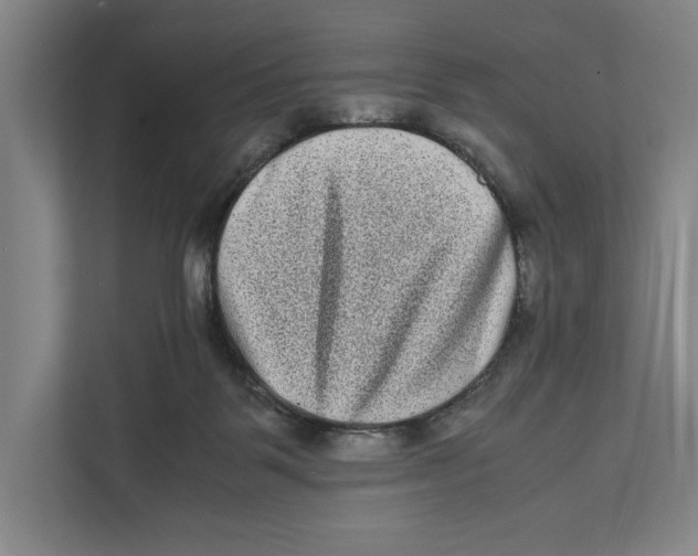 X0000111840123200908201225