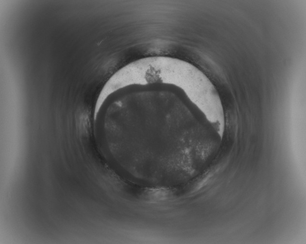 X0000111840127200908201225