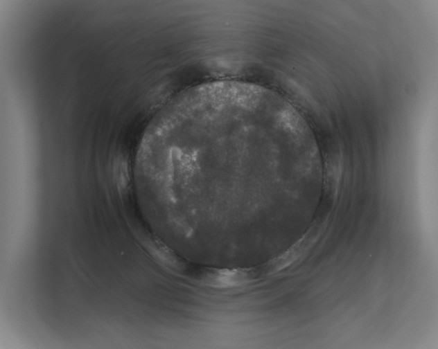 X0000111840130200908201224