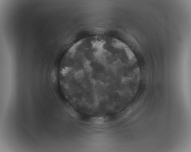 X0000111840131200908201224